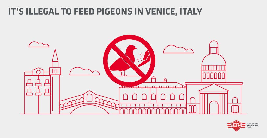 It's illegal to feed pigeons in Venice, Italy