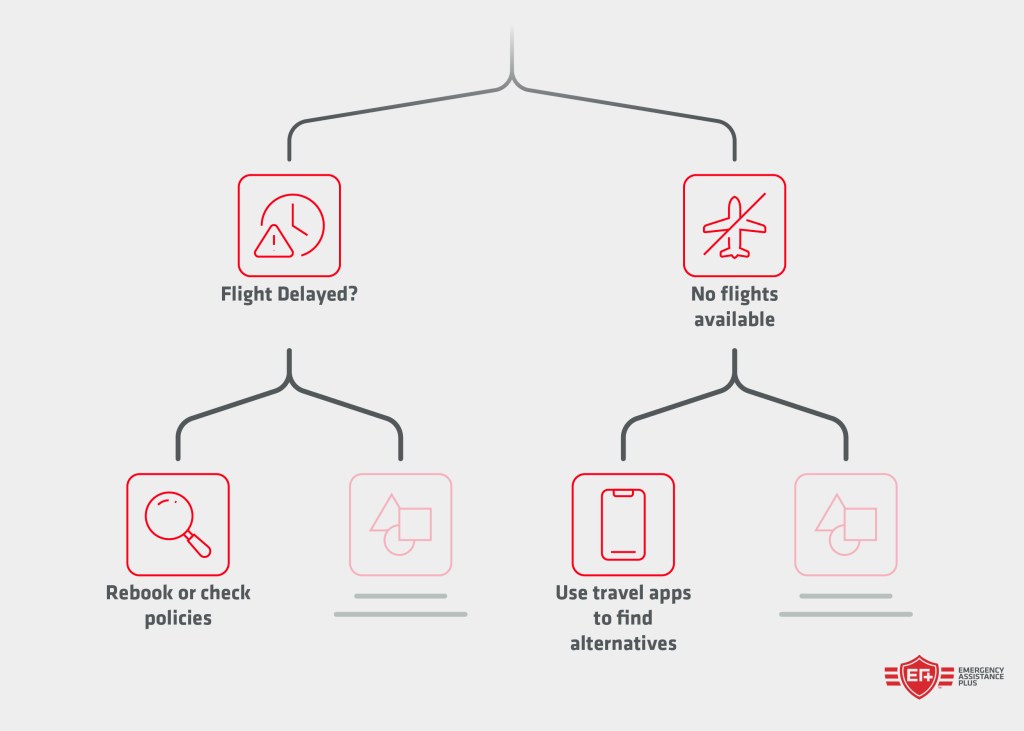 missed flight connection steps