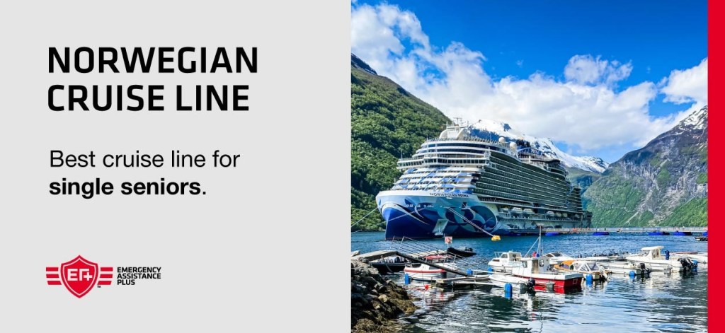 Norwegian cruise line ship sailing across the ocean